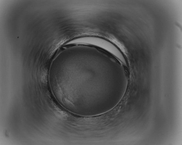 X0000091710009200708311126