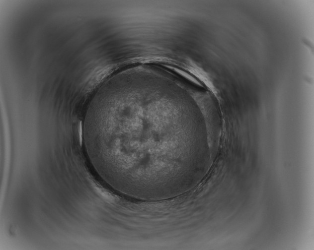 X0000091710013200708311126