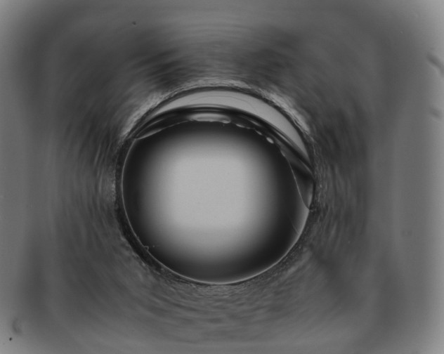 X0000091710015200708311126