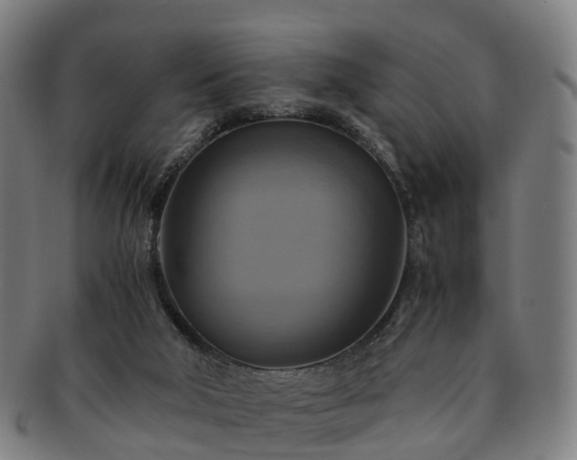 X0000091710018200708311126