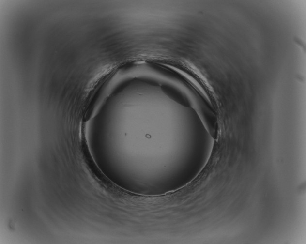 X0000091710019200708311126