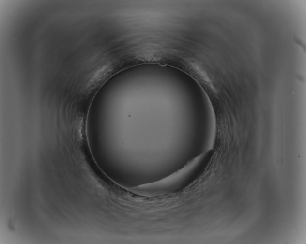 X0000091710023200708311126