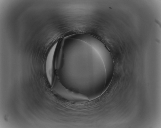 X0000091710027200708311126