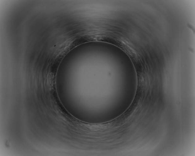 X0000091710030200708311126