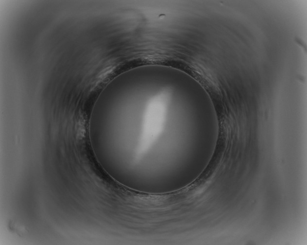 X0000091710032200708311126