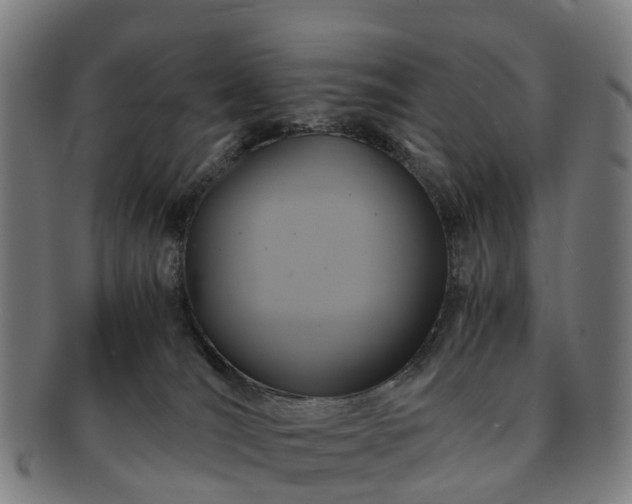 X0000091710036200708311125