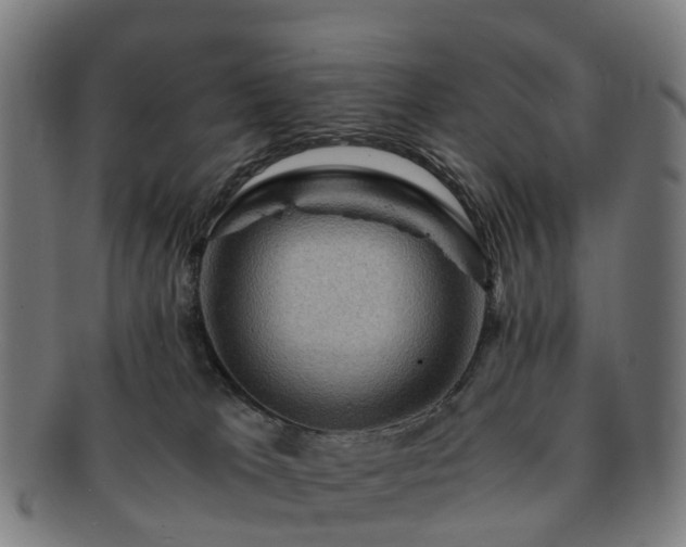 X0000091710037200708311125