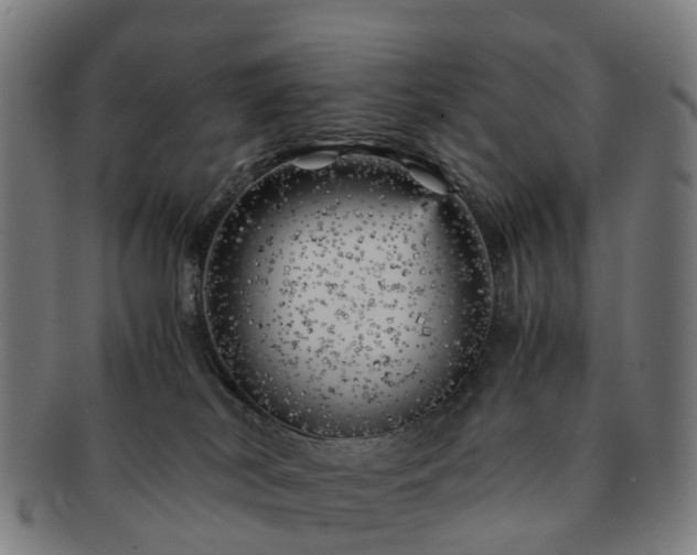 X0000091710038200708311125