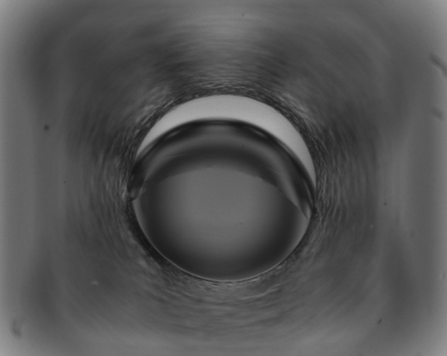 X0000091710039200708311125