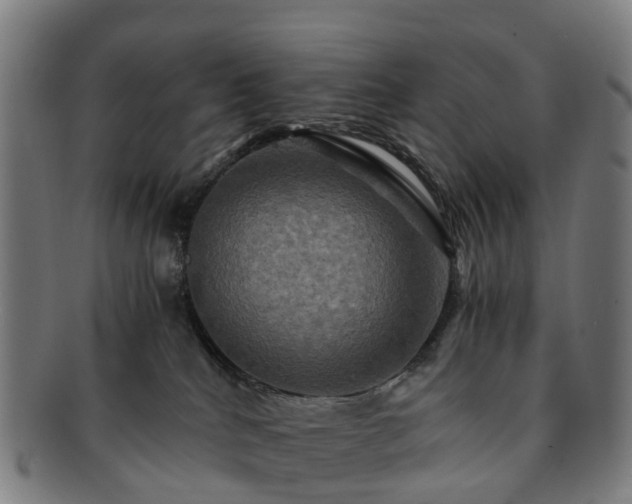 X0000091710040200708311125