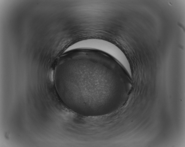 X0000091710041200708311125