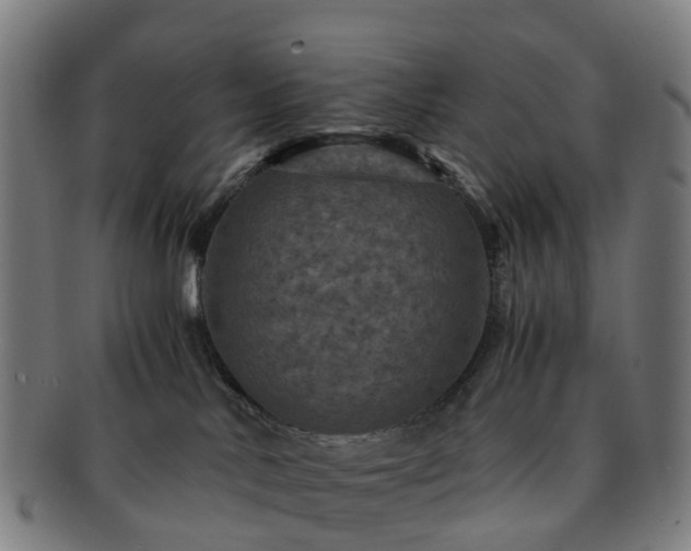 X0000091710042200708311125