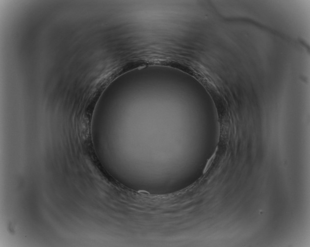 X0000091710043200708311125