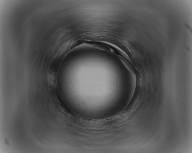 X0000091710044200708311125