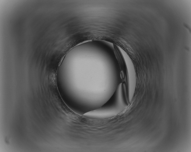 X0000091710045200708311125