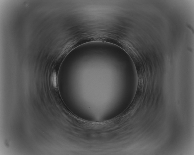 X0000091710046200708311125