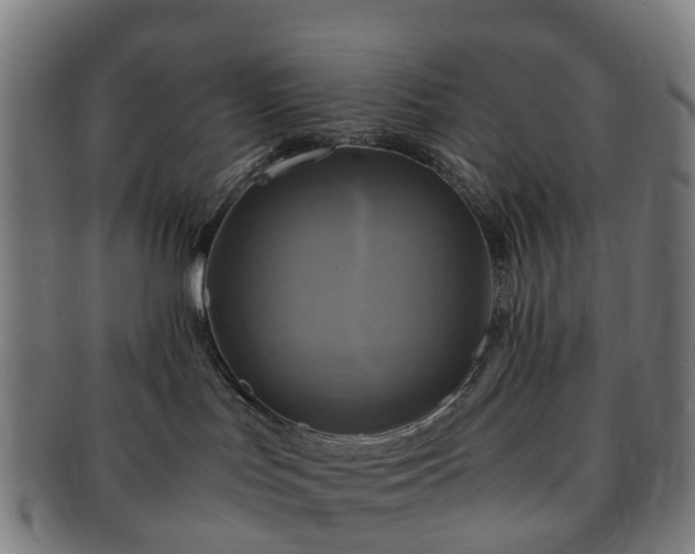 X0000091710047200708311125