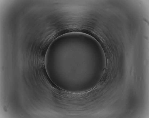 X0000091710048200708311125