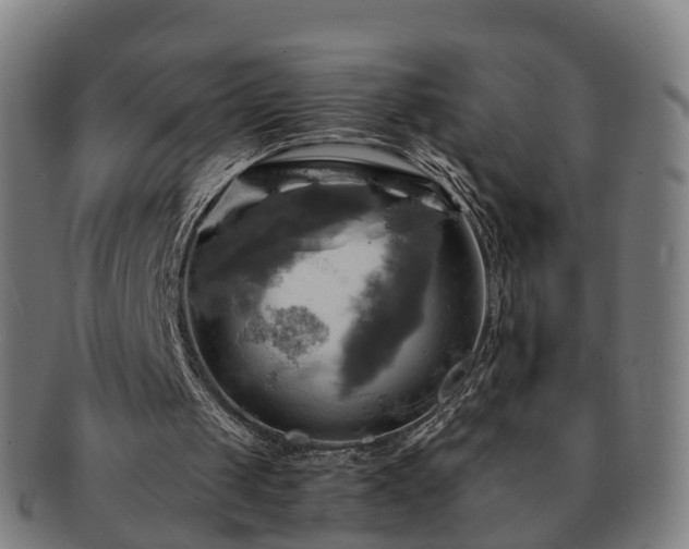 X0000091710049200708311124