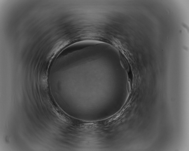 X0000091710050200708311125