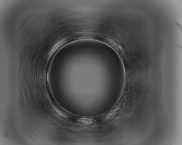 X0000091710051200708311125