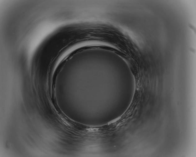 X0000091710052200708311125