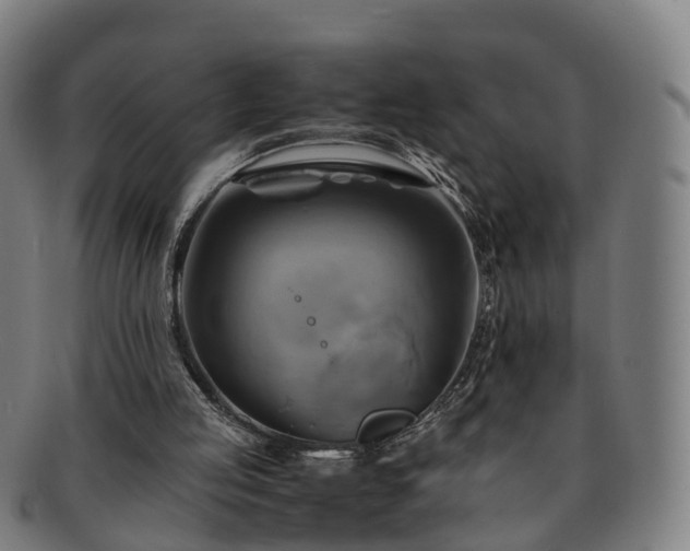 X0000091710053200708311125