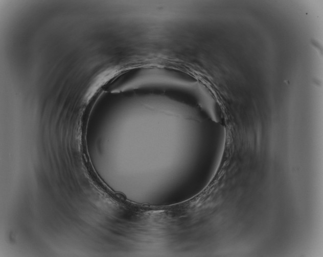 X0000091710054200708311125