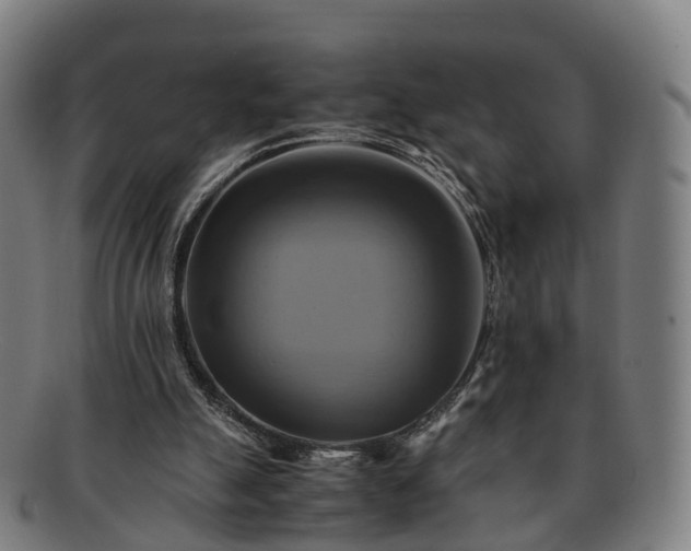 X0000091710055200708311125