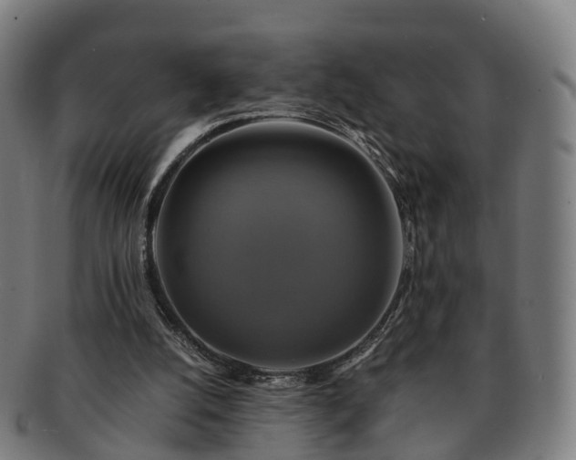 X0000091710056200708311125