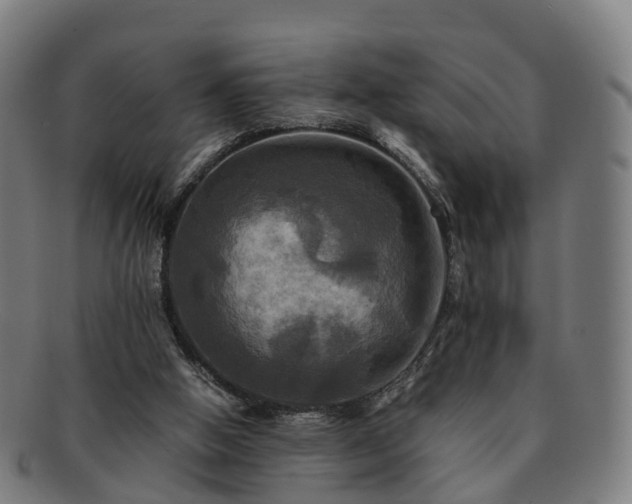 X0000091710058200708311125