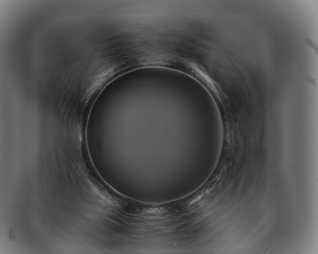 X0000091710059200708311125