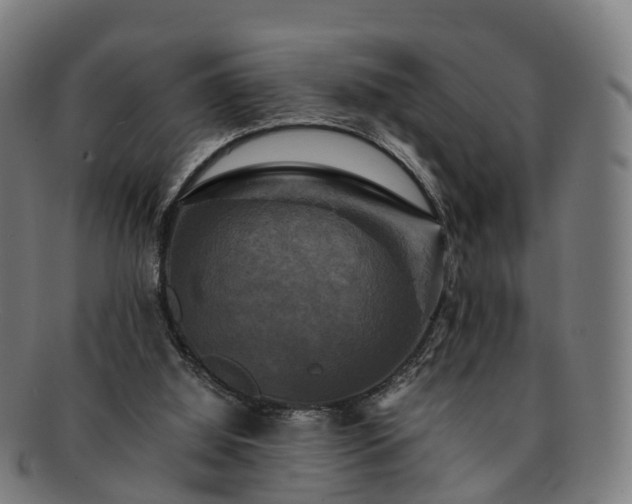 X0000091710060200708311125