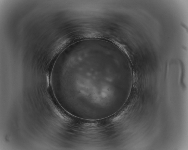 X0000091710061200708311125