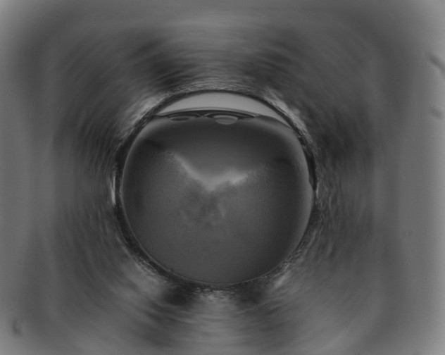 X0000091710062200708311125