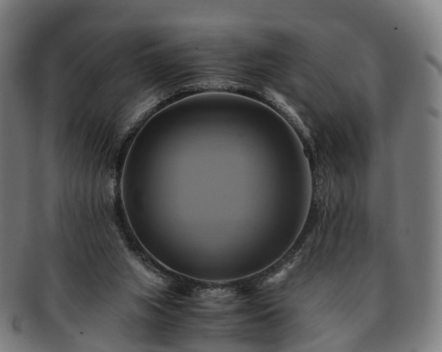 X0000091710063200708311125