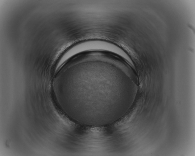 X0000091710064200708311125