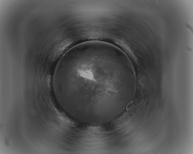 X0000091710066200708311125