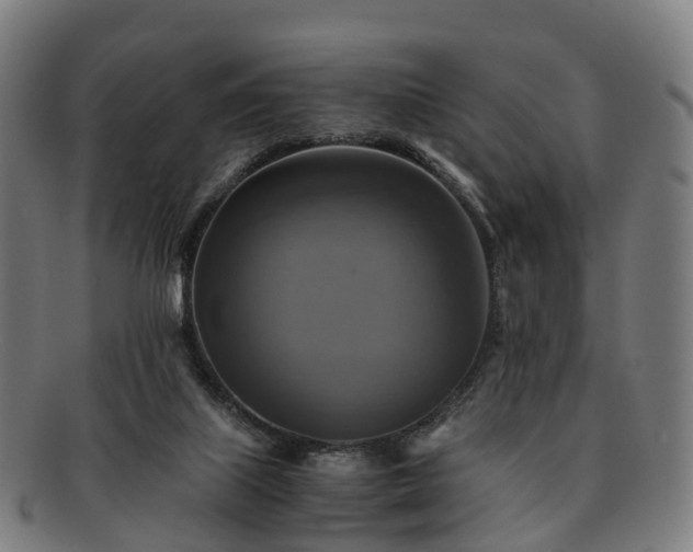 X0000091710067200708311125