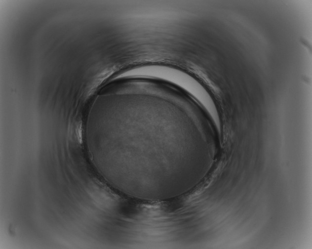 X0000091710068200708311125