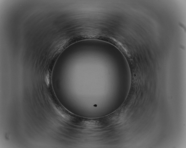 X0000091710069200708311125