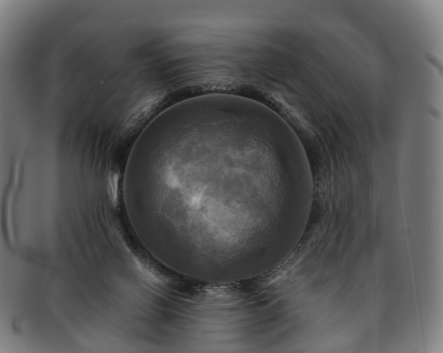 X0000091710070200708311125