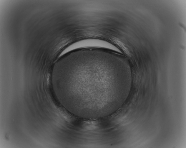 X0000091710071200708311125