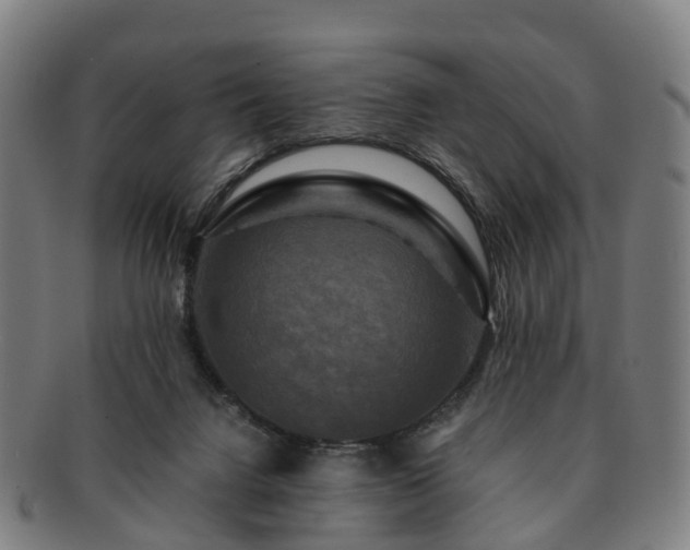 X0000091710072200708311125