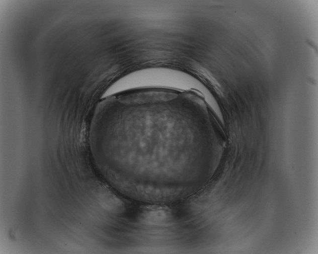 X0000091710073200708311125