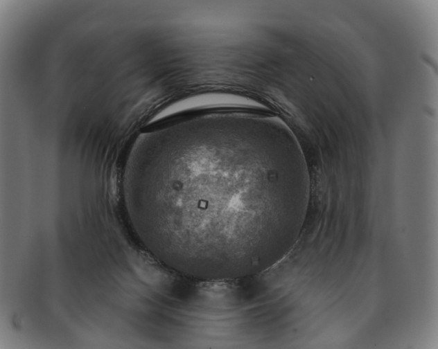 X0000091710074200708311125