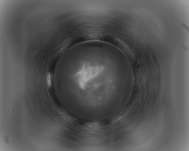 X0000091710075200708311125