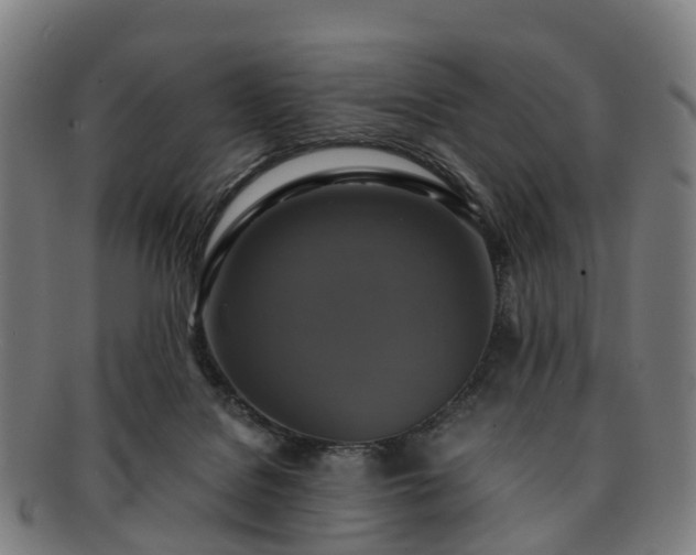 X0000091710076200708311125