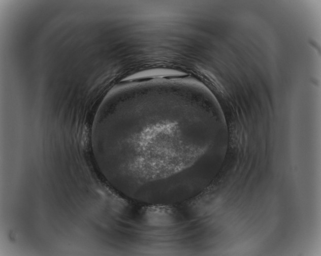 X0000091710077200708311125