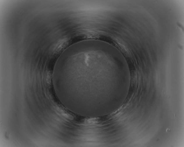 X0000091710078200708311125